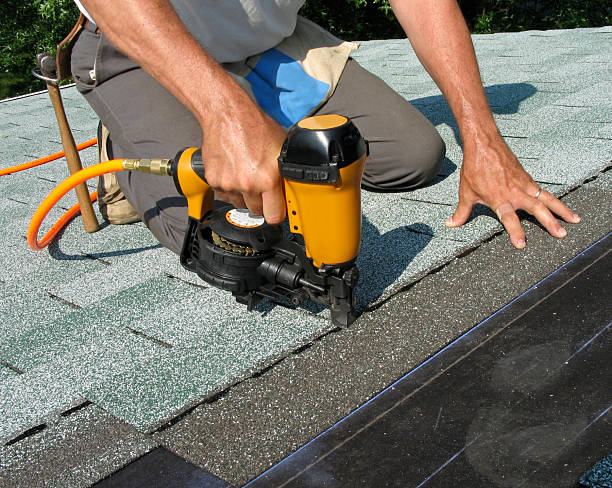 Best Local Roofing Companies  in Genesee, ID