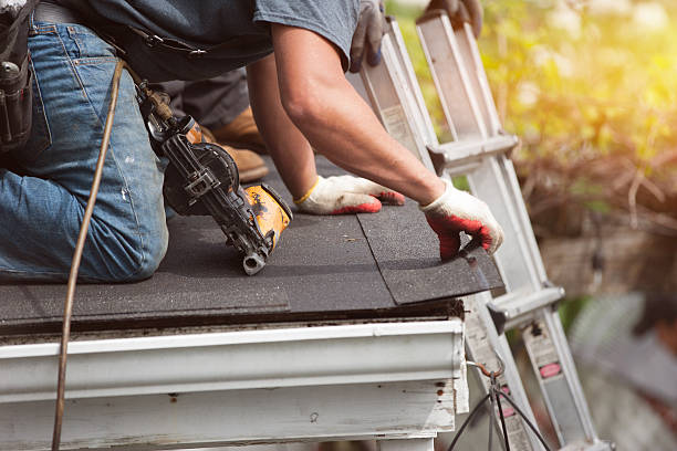 Best Local Roofing Companies  in Genesee, ID