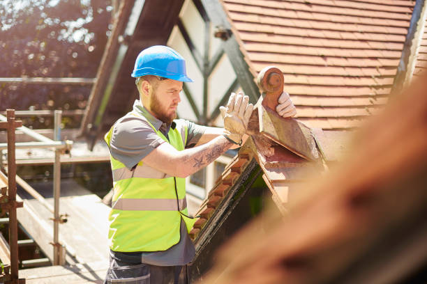 Best Roof Gutter Cleaning  in Genesee, ID